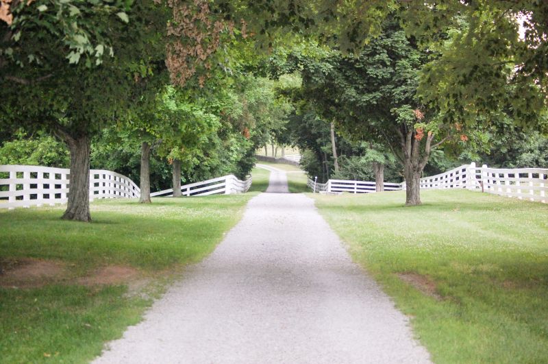 Flagstone Pathway Installation