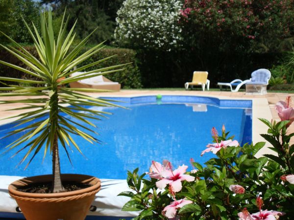 Pool Terrace Renovation in Fishers