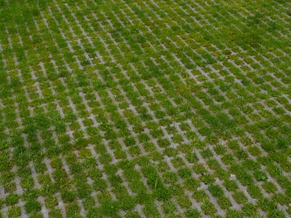 Permeable Pavement Service in Fishers